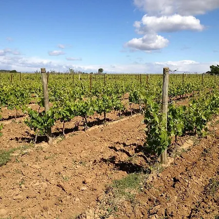 Flat With Pool In The Heart Of Vineyards, Cleaning Included アパート メーズ